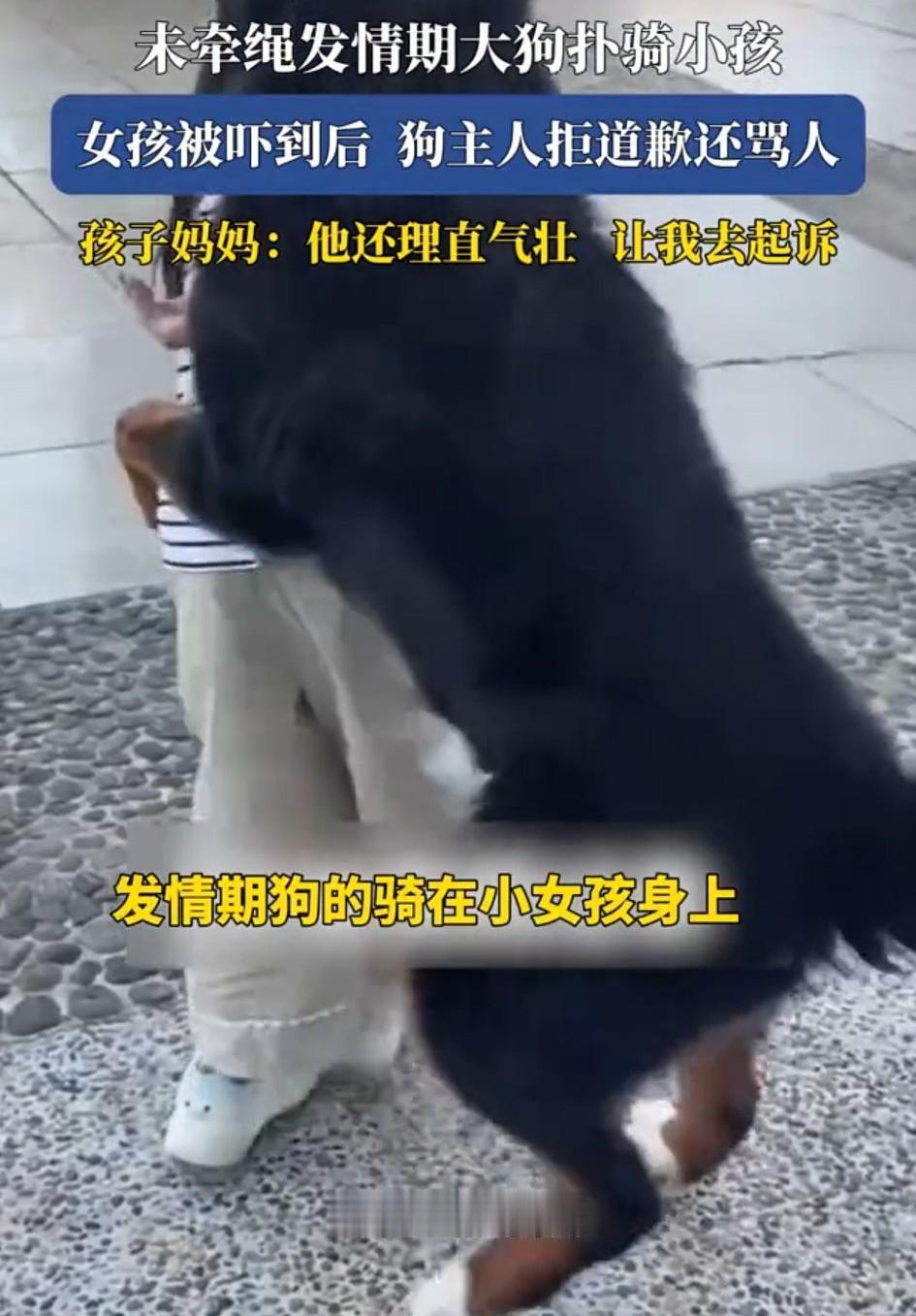 太过分了！云南玉溪，一女子发视频称，她带着自家8岁女儿在逛公园时，女儿被一条未牵