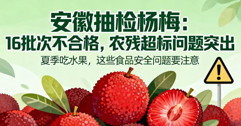 安徽杨梅抽检：16批次不合格，甜蜜素防腐剂成“隐形添加”重灾区
160批次样品中