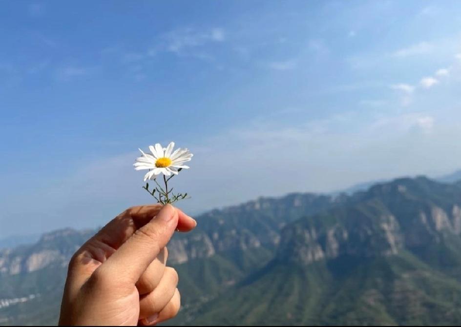 钱，能买到快乐吗？
 
钱这东西，确实招人喜欢。
有了它，能去看远方的山，
能尝