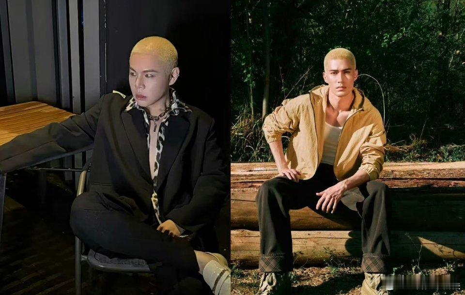 方家翊瘦了70斤撞脸米卡这也叫撞脸？？？也就发色发型撞了吧，米卡看到这个词条该哭