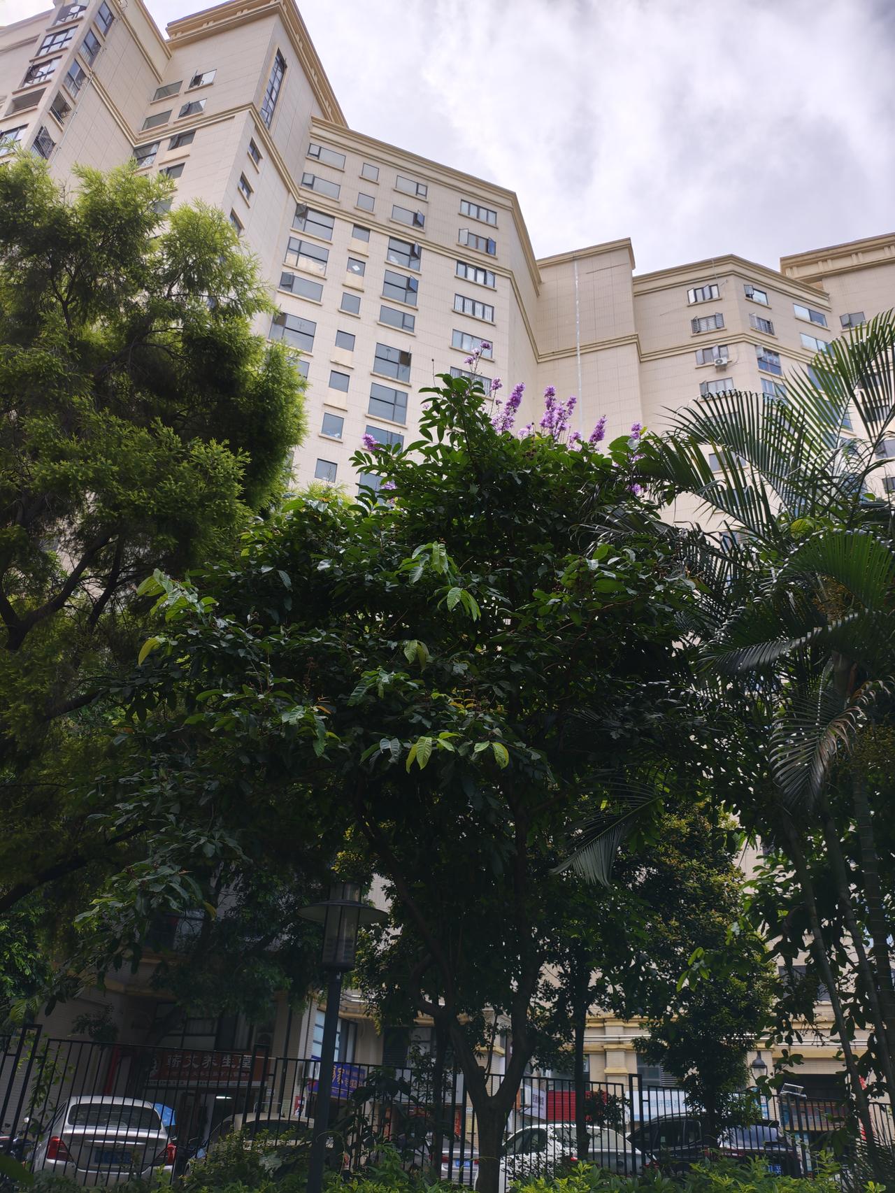 夏日旅游去哪里夏日旅游去那种有大树的公园很好，树影婆娑，风吹沙沙响，又阴凉又美妙