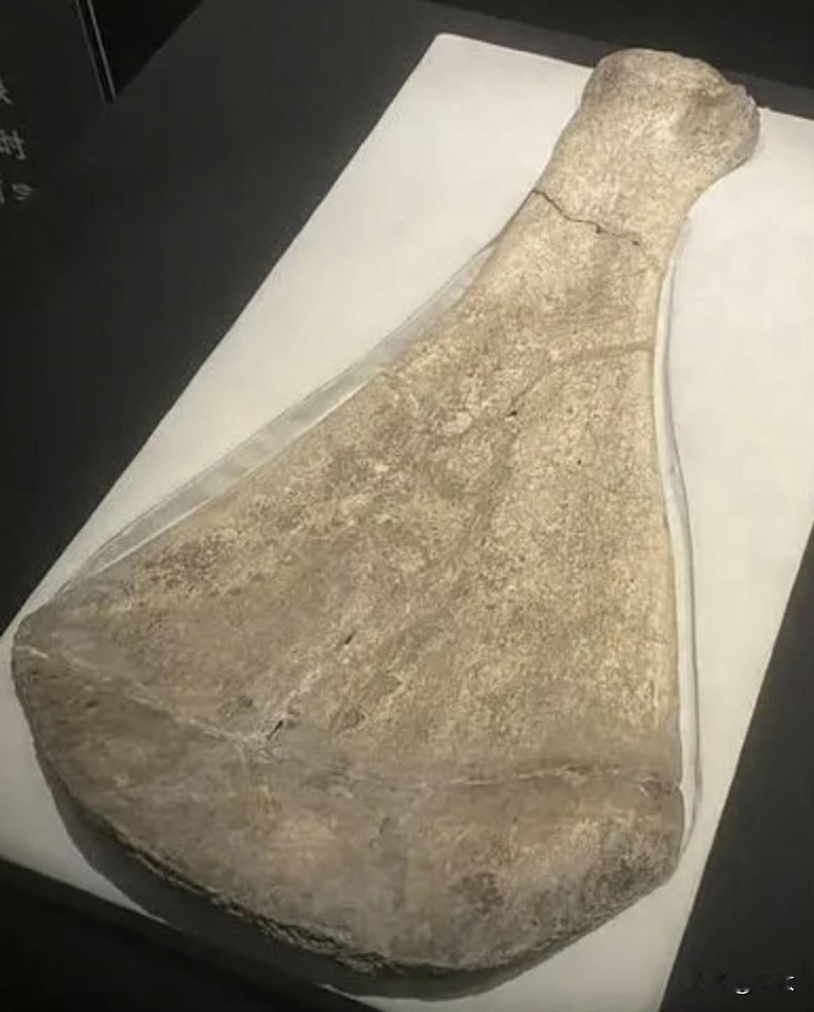 周原甲骨里周族首领季历和昌在殷商时期就称“王”。野心太明显了，难怪商王猜忌。所以