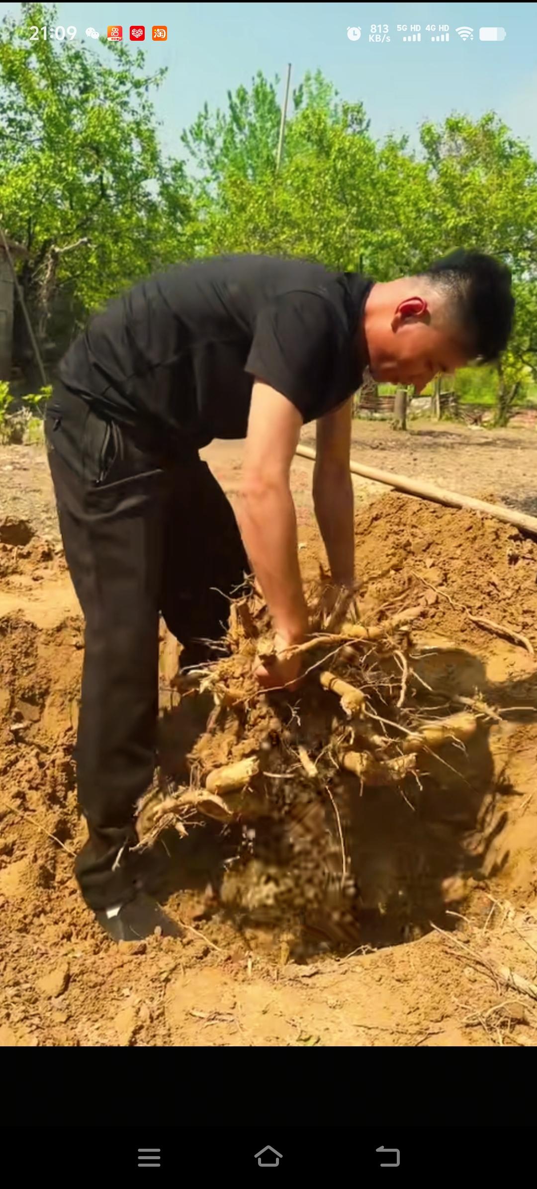 厉怀远独自在老家着实不易。两年前他寻到了亲生家庭，却未回到亲生父母身旁。如今，他