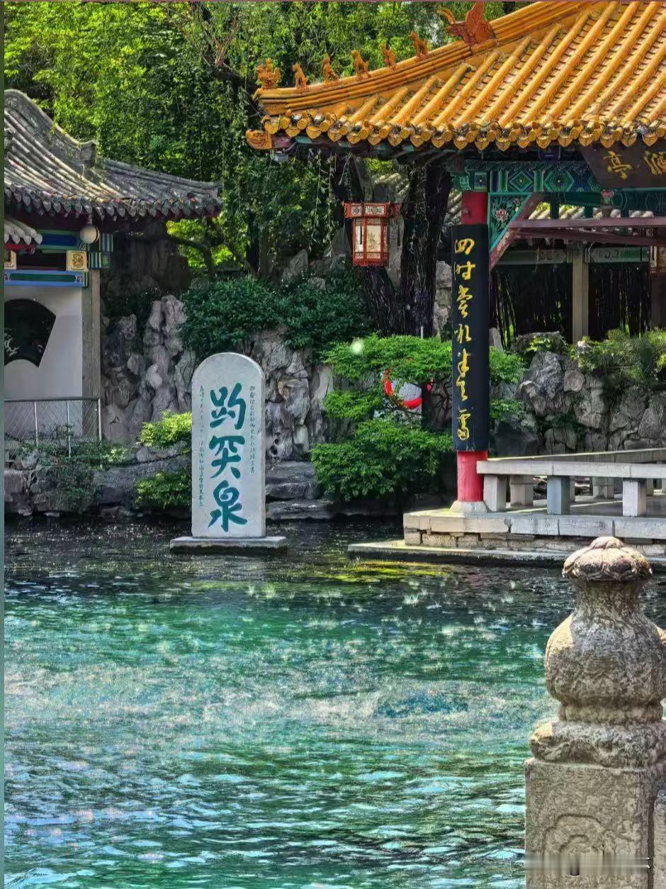 花鲢的脑壳草鱼的尾，白鲢的肚皮鲤鱼的嘴。
都说白鲢鱼肉嫩细刺多，不好烹制，所以价