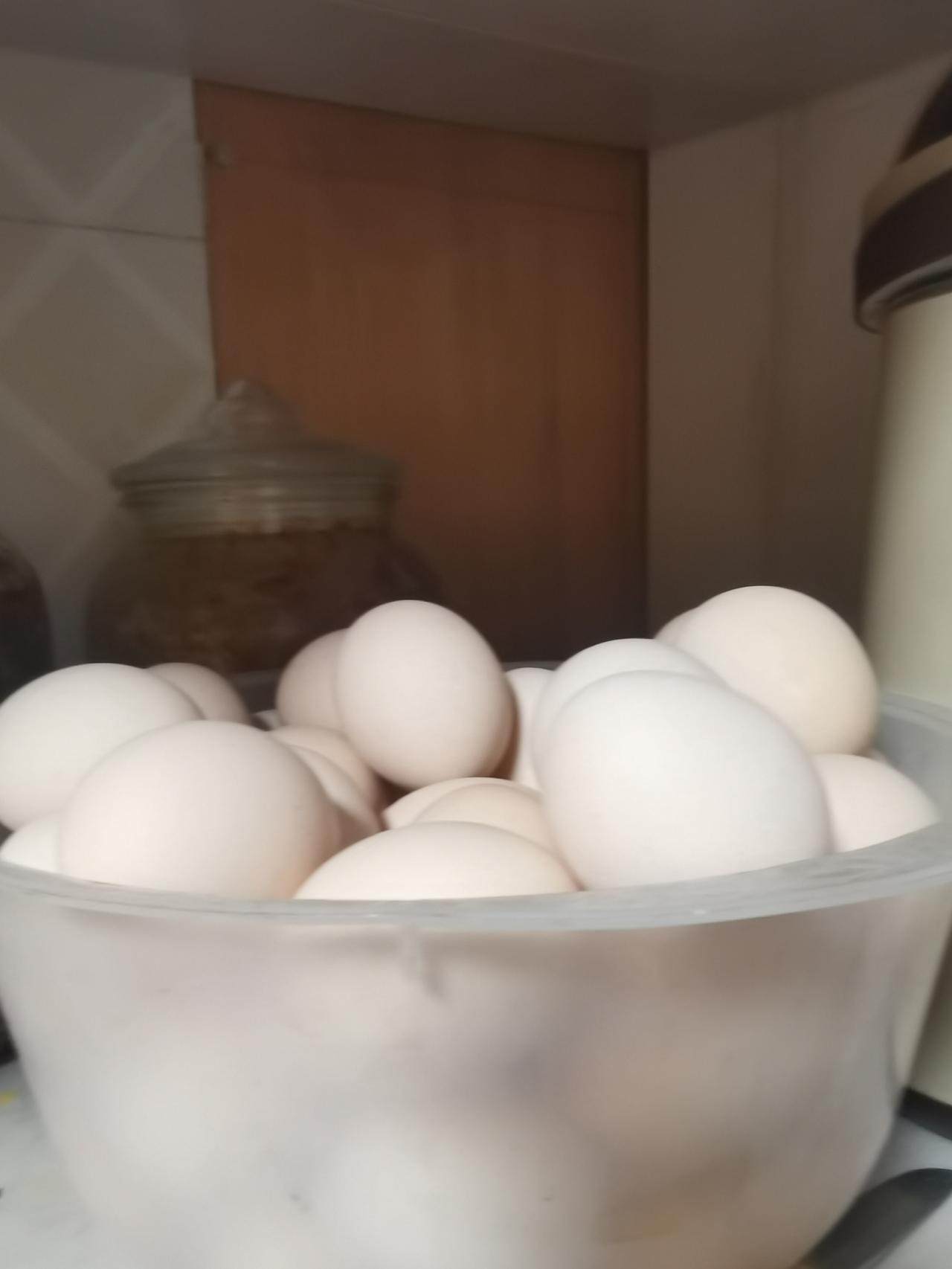 今年的经济不景气，说一个现实又好笑的事。

我们小区附近开了几家所谓的艾灸店，其