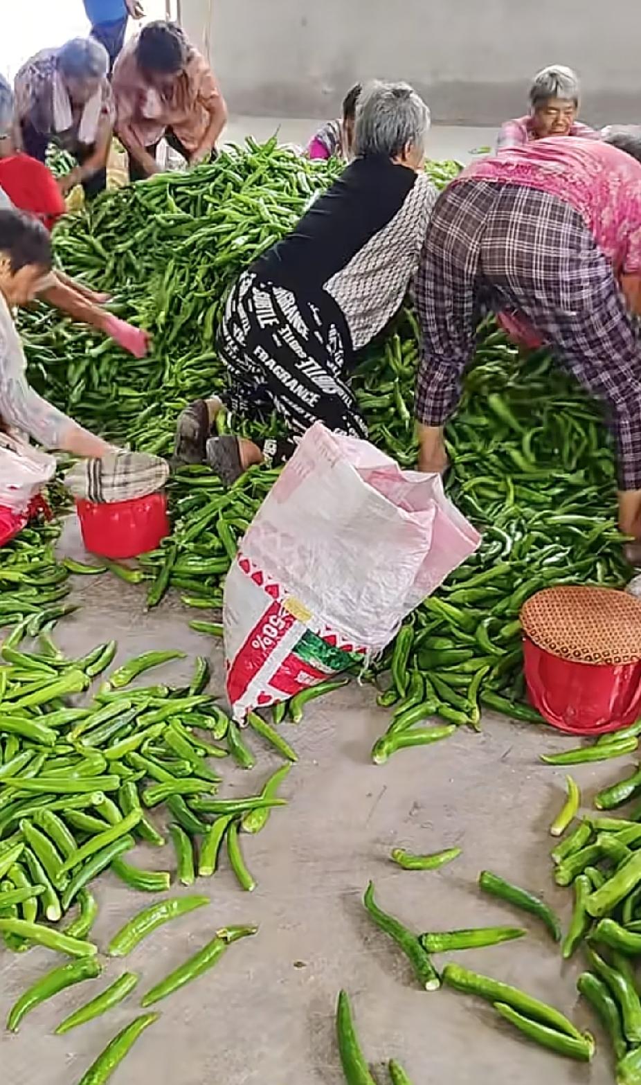 等我有钱了
我就把这些老太太全部换了
换成年轻帅气的小伙子
40岁，花一样的年纪