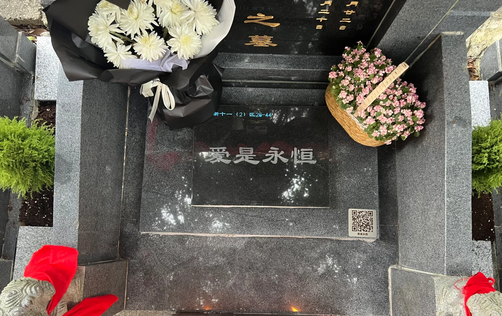 900天，熬着熬着也过了 老公，最近网上很流行问一个梗：买了六个瑞士卷...