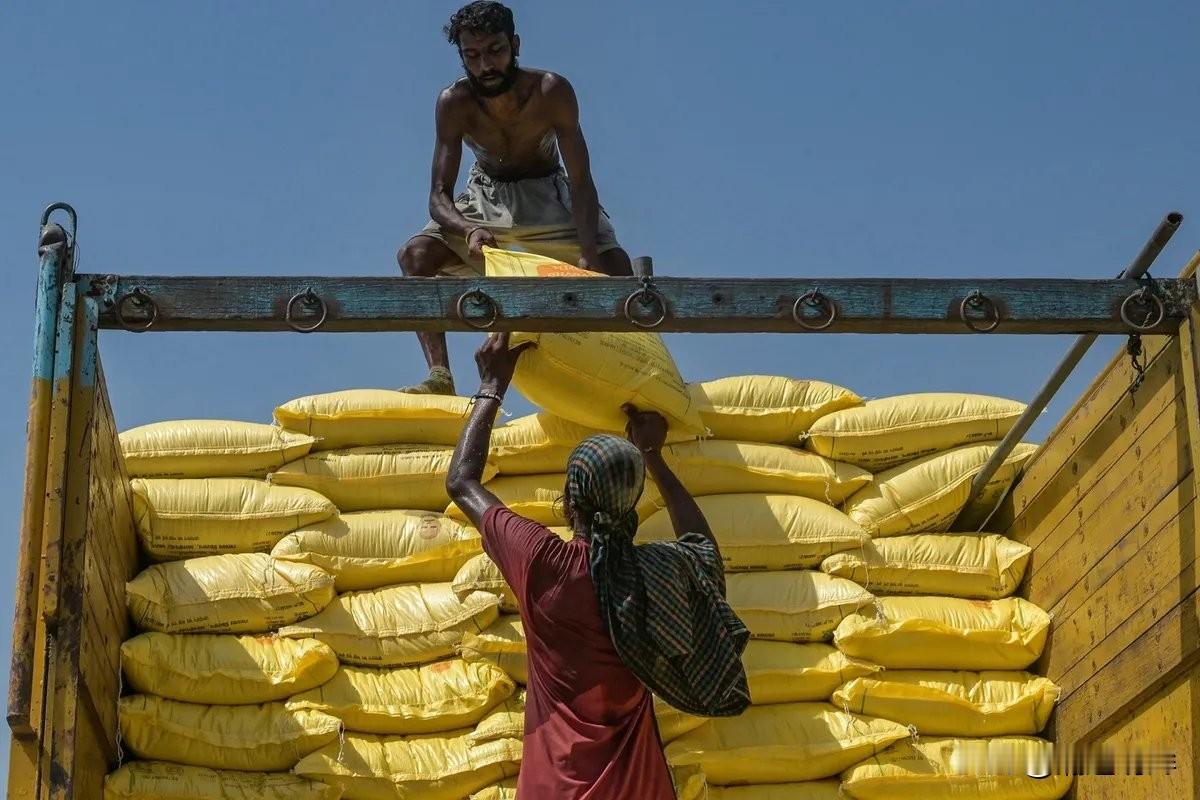 战争让养活十亿人的成本几乎翻番。轰炸伊朗开始前，尿素每吨不过四百九十美元，如今印