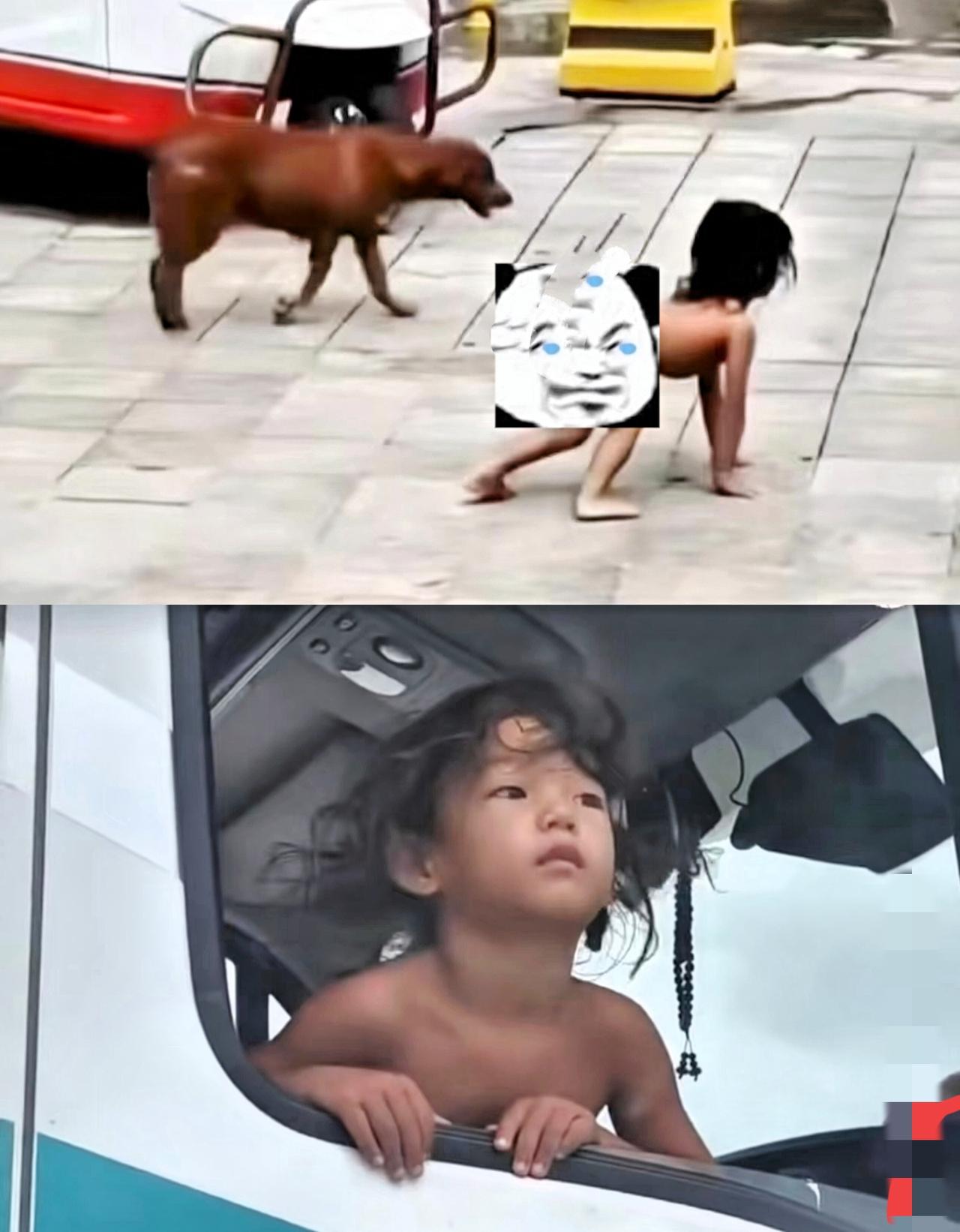 千万别被野人小孩的父亲骗了！
你们看孩子的全身肤色，
​以及他类犬的所有行为，分