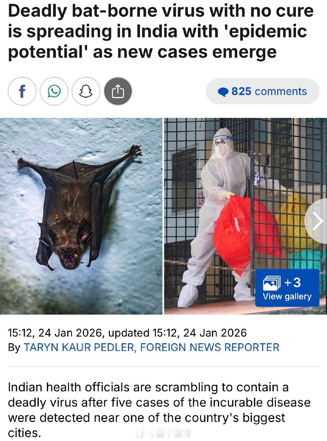 多国加强监测应对印度疫情一种致命的新型蝙蝠病毒正在印度蔓延，这种病毒目前尚无已知