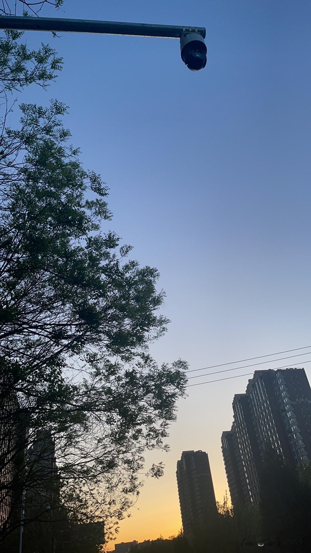 网上是电视剧主角的铺天盖地的宣传……
其实，张嘉译这个团队演到……白鹿原，就是顶
