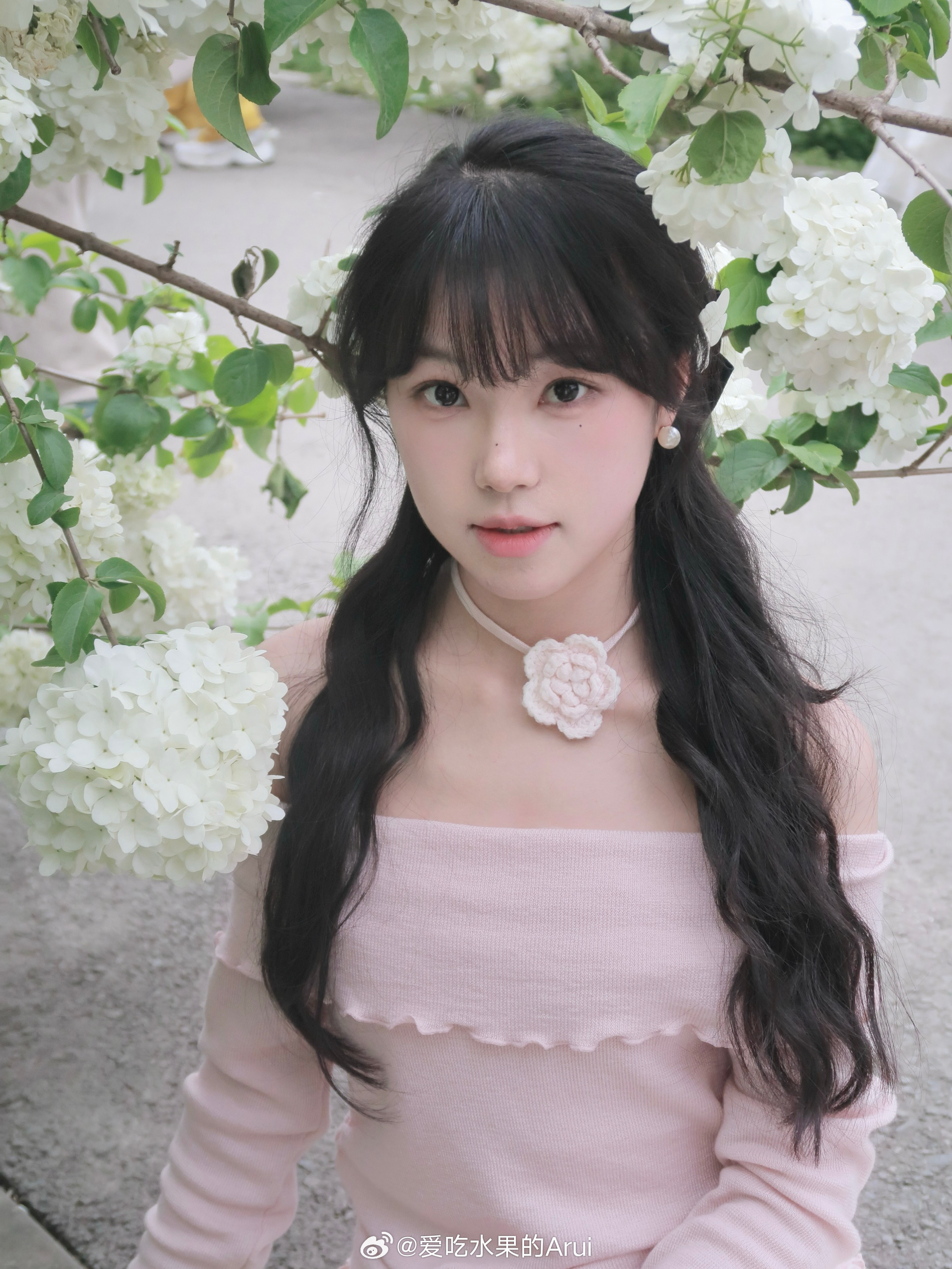 拍了拍四月木绣球🍃🕊️ 木绣球 ​​​