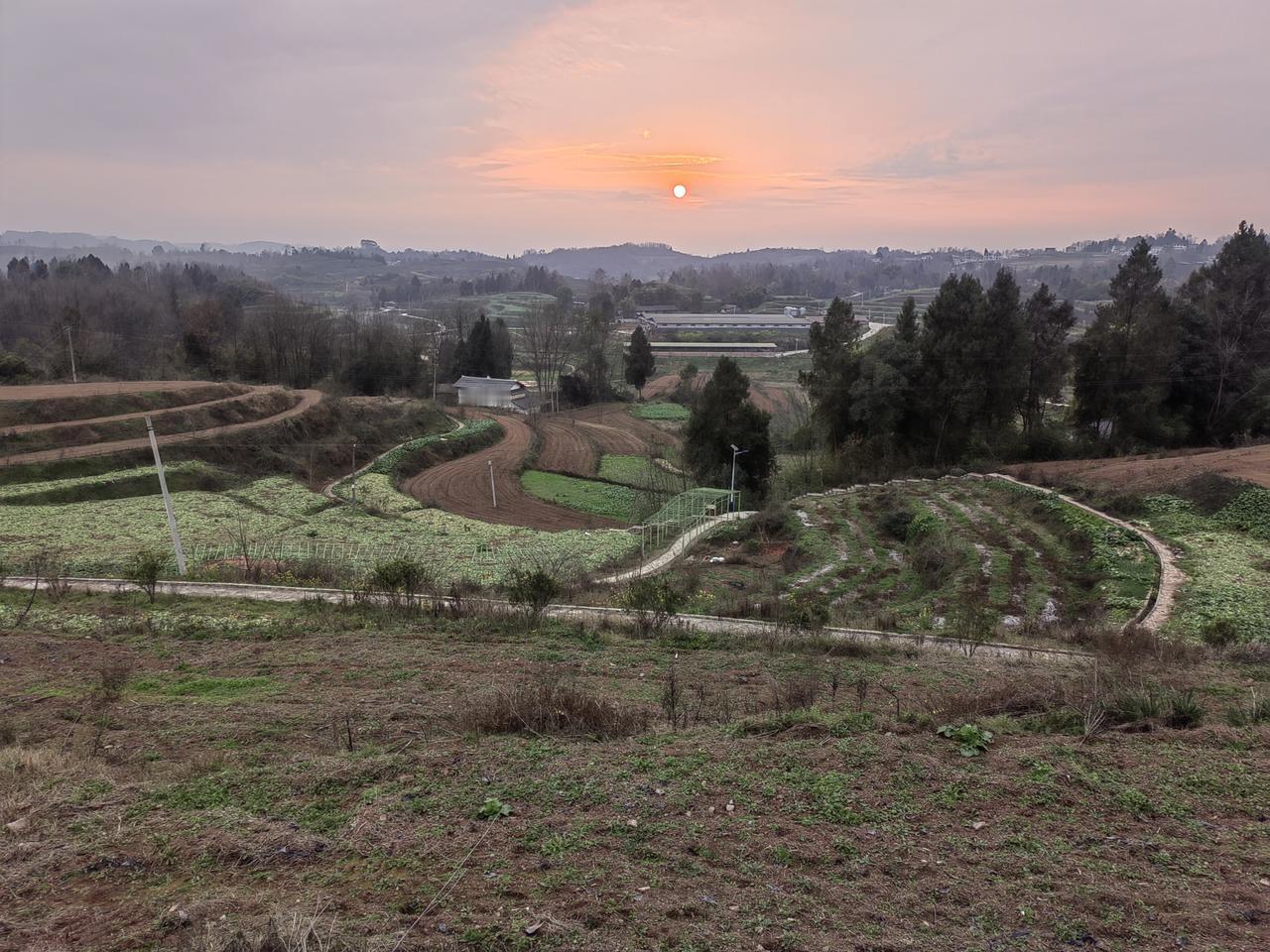 冬日黄昏日西沉
红色晚霞呈美景
明天又是好天气
天气温暖愉心情