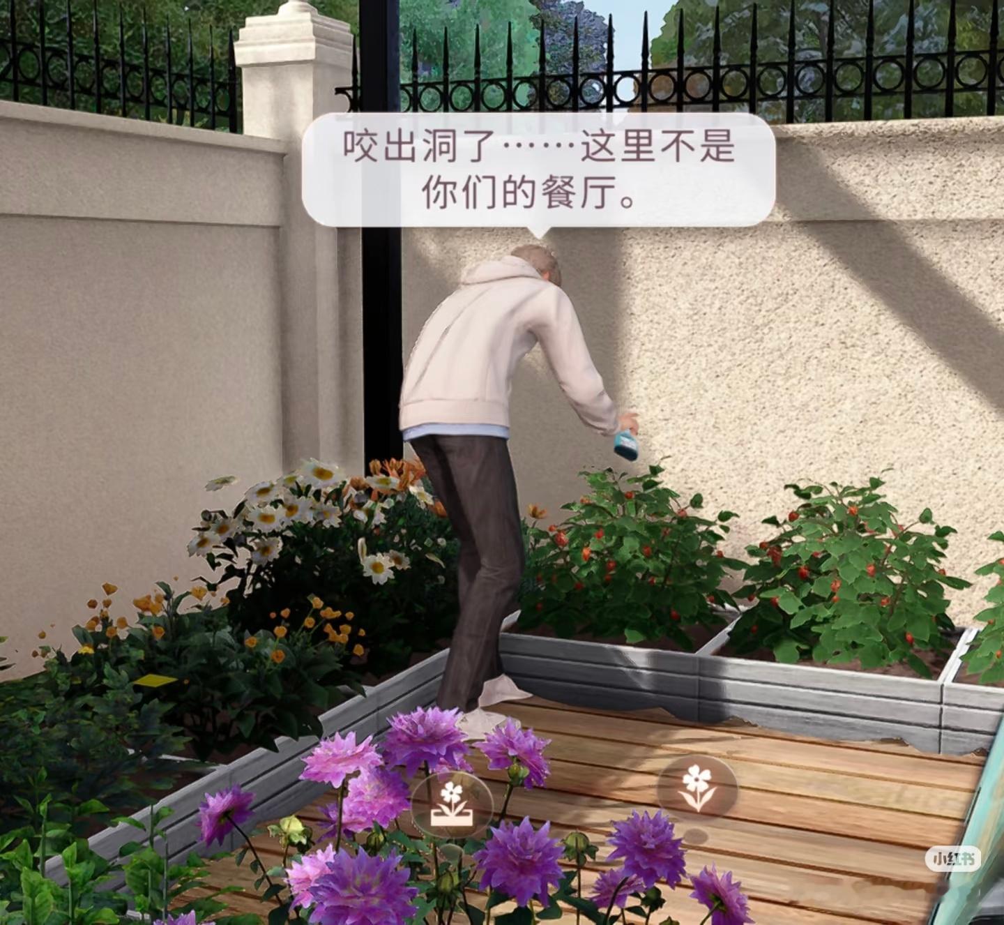 电波 