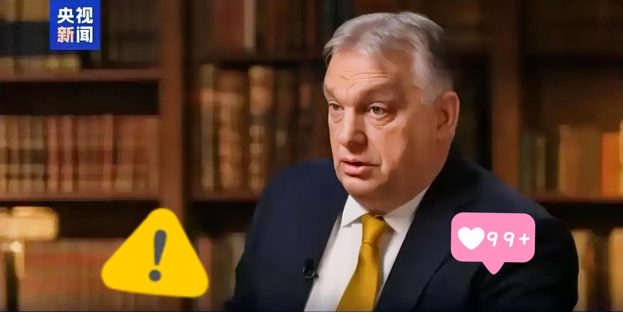 匈牙利总理欧尔班表示了！

当地时间2025年12月31日，匈牙利总理欧尔班在接