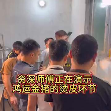 资深师傅正在演示鸿运金猪的烫皮环节。