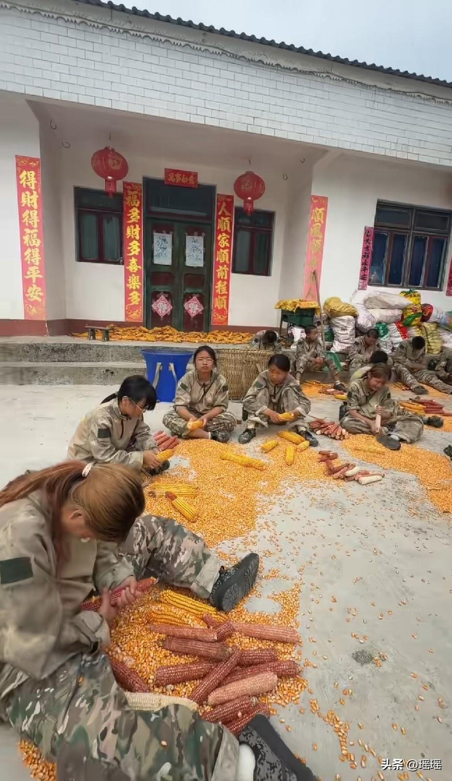 这个军训接地气