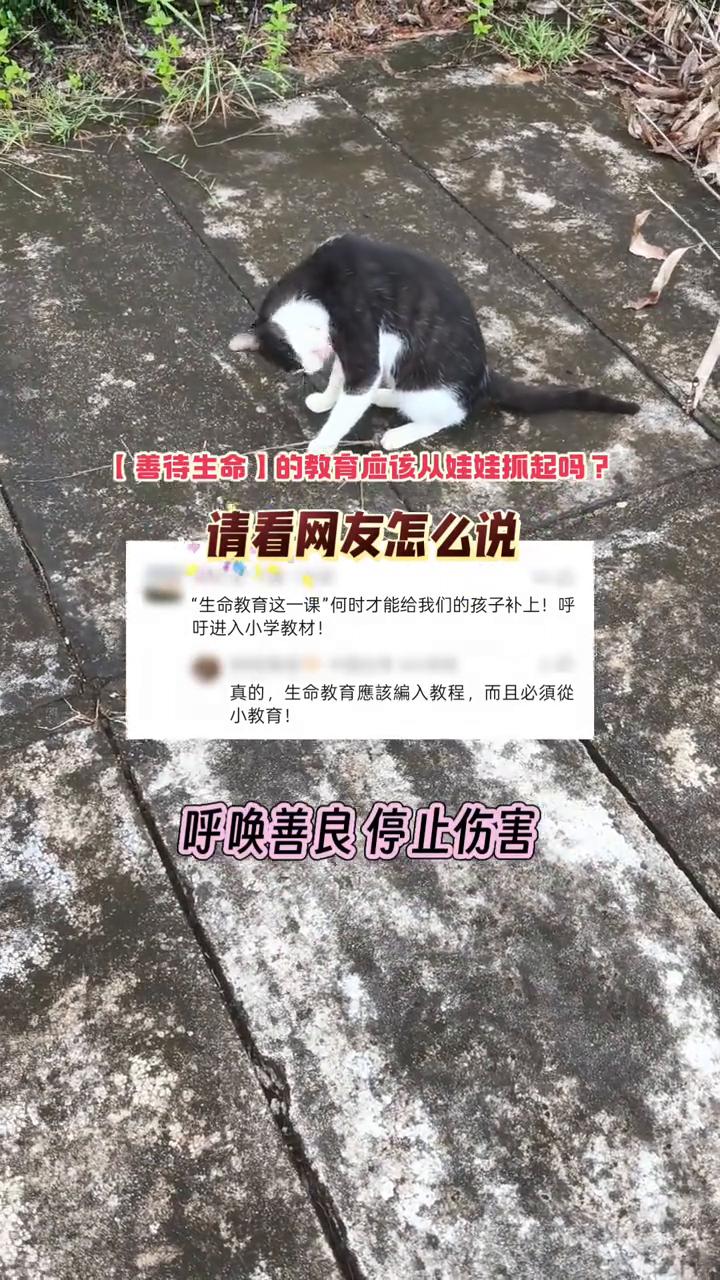 善诗生命的教育应该从娃娃抓起吗？请看网友怎么说。
生命教育这一课何时才能给孩子补