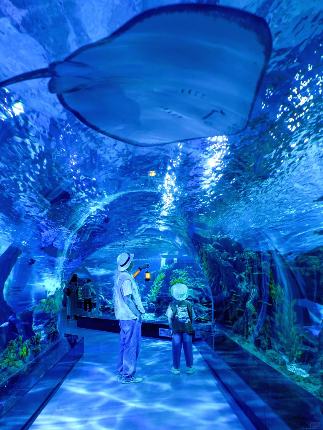 从小玩到大的温州乐园｜又又又出新项目啦❗️