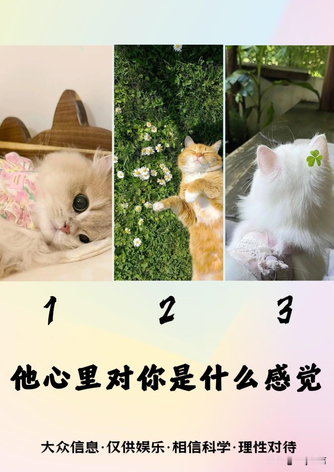 移动云智能新空间他心里对你是什么感觉