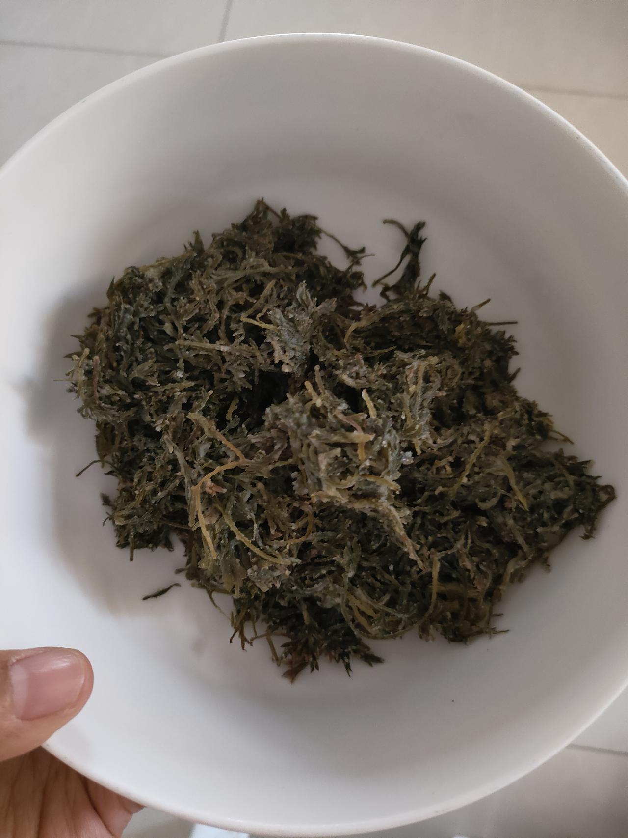 今天可算挖到宝了！去地里溜达，一眼瞅见嫩乎乎的白蒿，立马蹲下搞了一筐，这可是春天