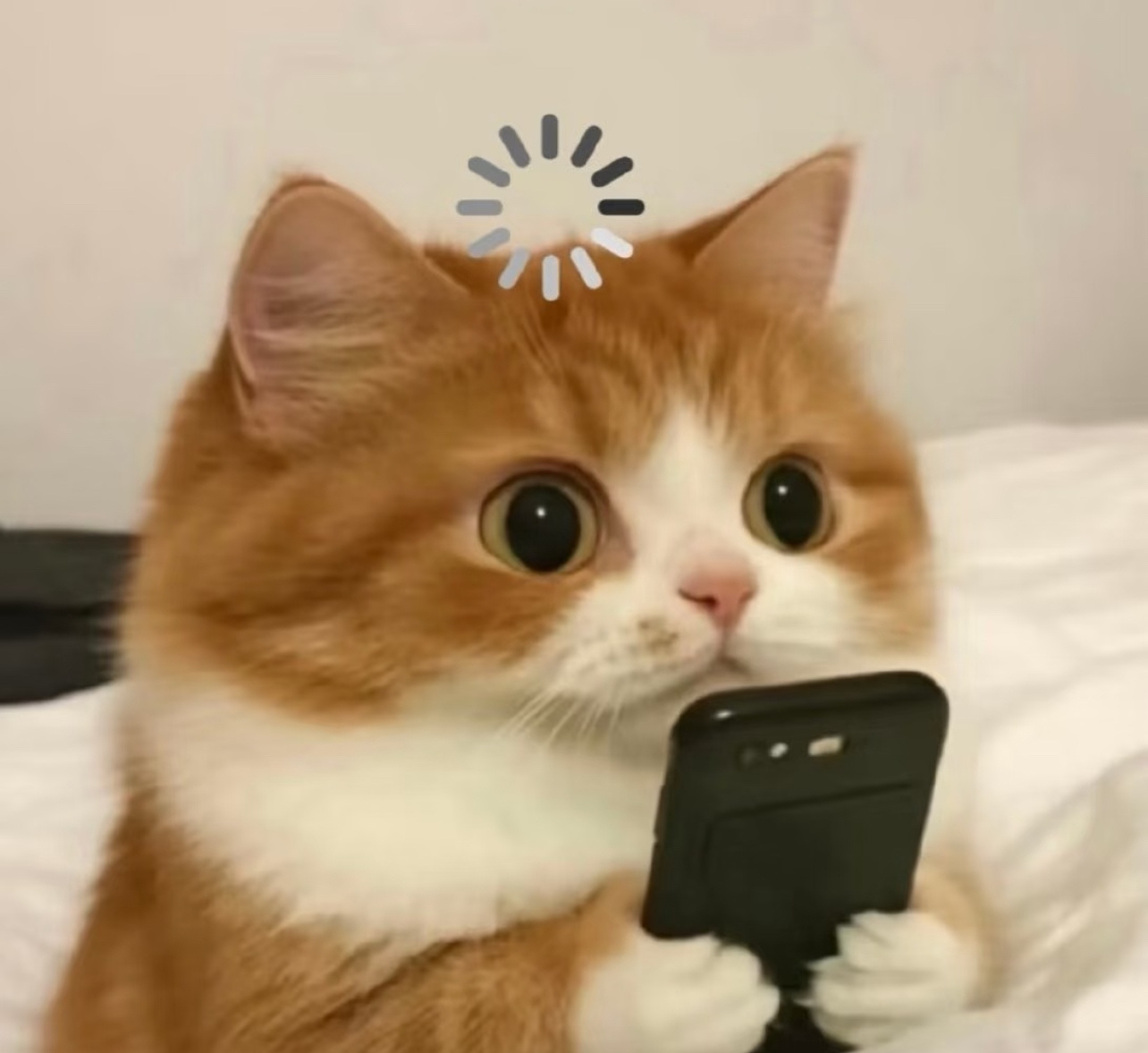 咋整，李雪琴这句话把我整开智了娱乐圈业务能力越差业务能力越强今夜喜友秀