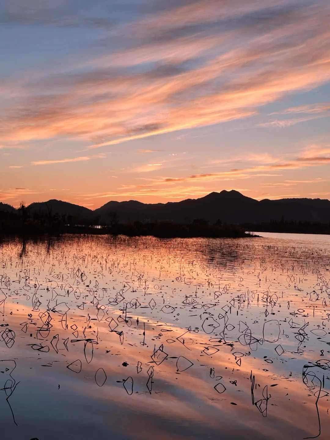 实况❗️昆明庾园的晚霞杀疯了！！！
