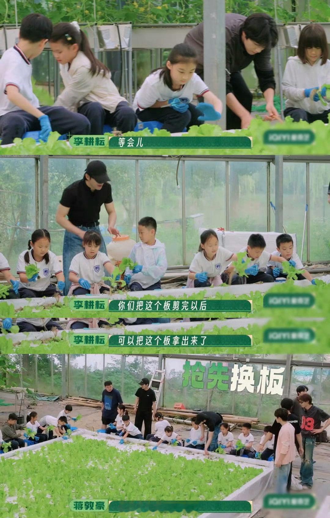 种地吧小孩谁给我报的名种地吧之前到访的嘉宾们来体验农活，一个个都被狠狠考验，这次