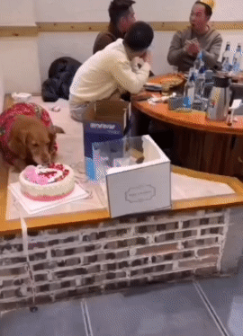 江湖规矩，地上的归狗