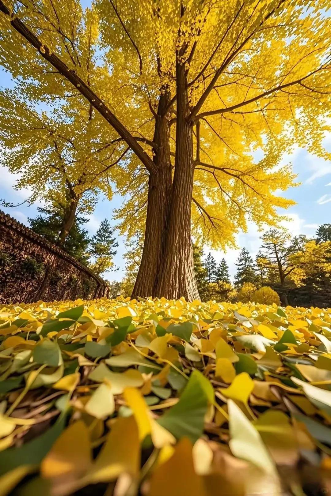 充实快乐的一周又结束了

做一行爱一行

做一行专一行

做任何事情

用心就是