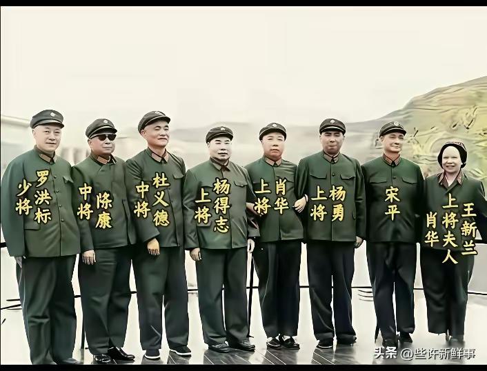 将军功绩高，
沙场血染袍。
待到胜利日，
为国又操劳。