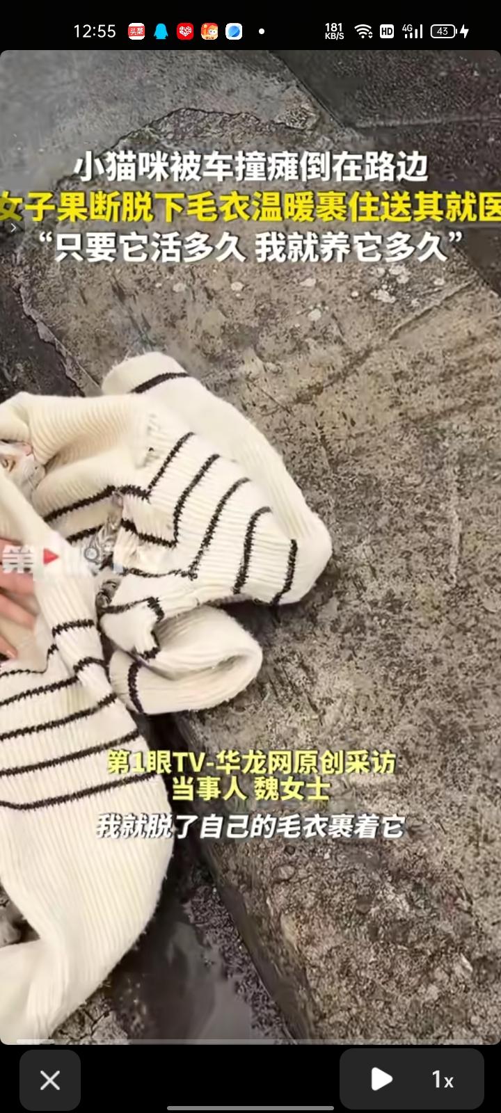 3月26日，金华东阳市。女子发现小猫被车撞了，瘫倒在路边，随后她果断脱下毛衣裹住