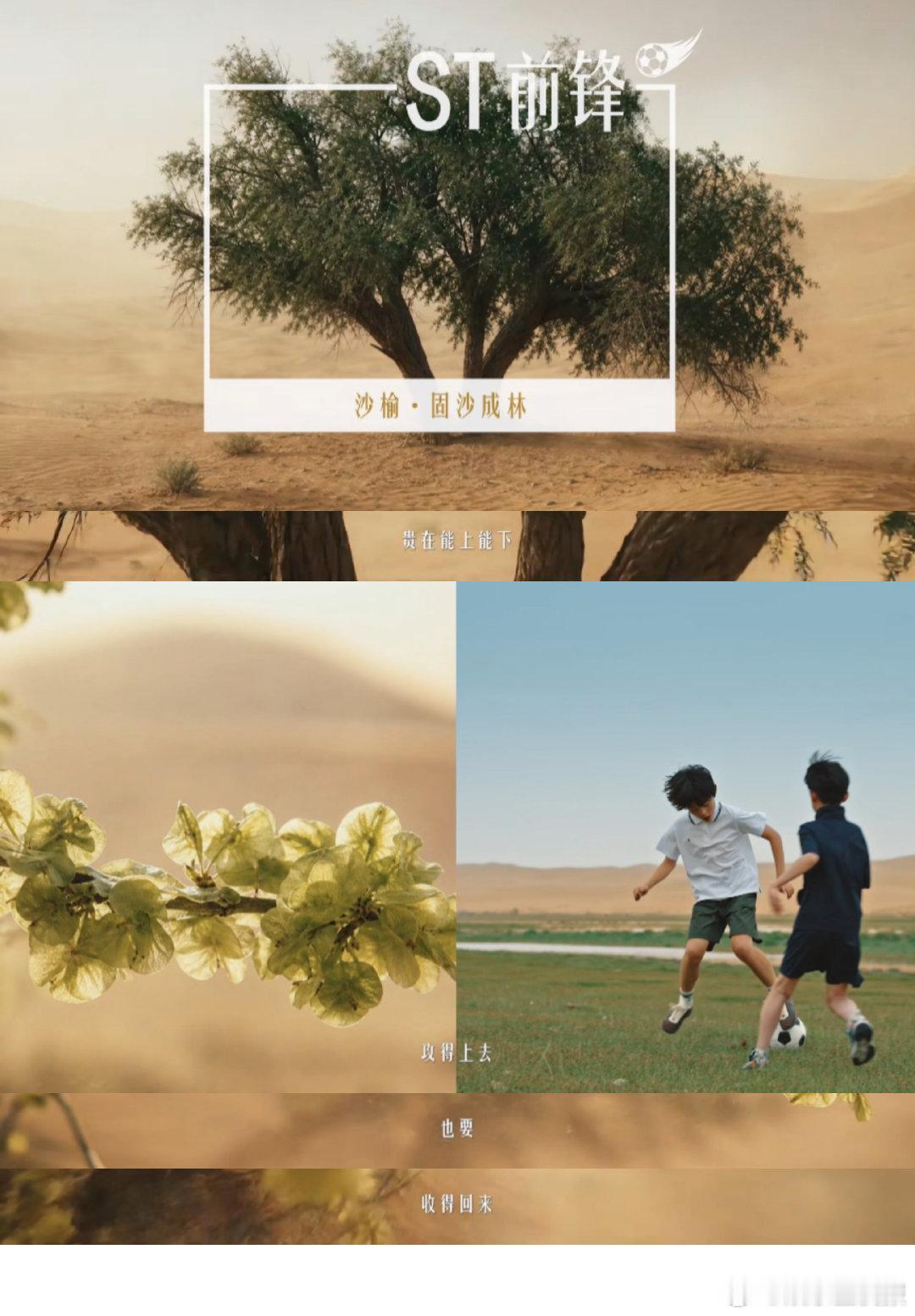 张云龙说这是世界杯级防守 绿茵场上防守托住全场局势，荒漠之中植被托住整片土地生态