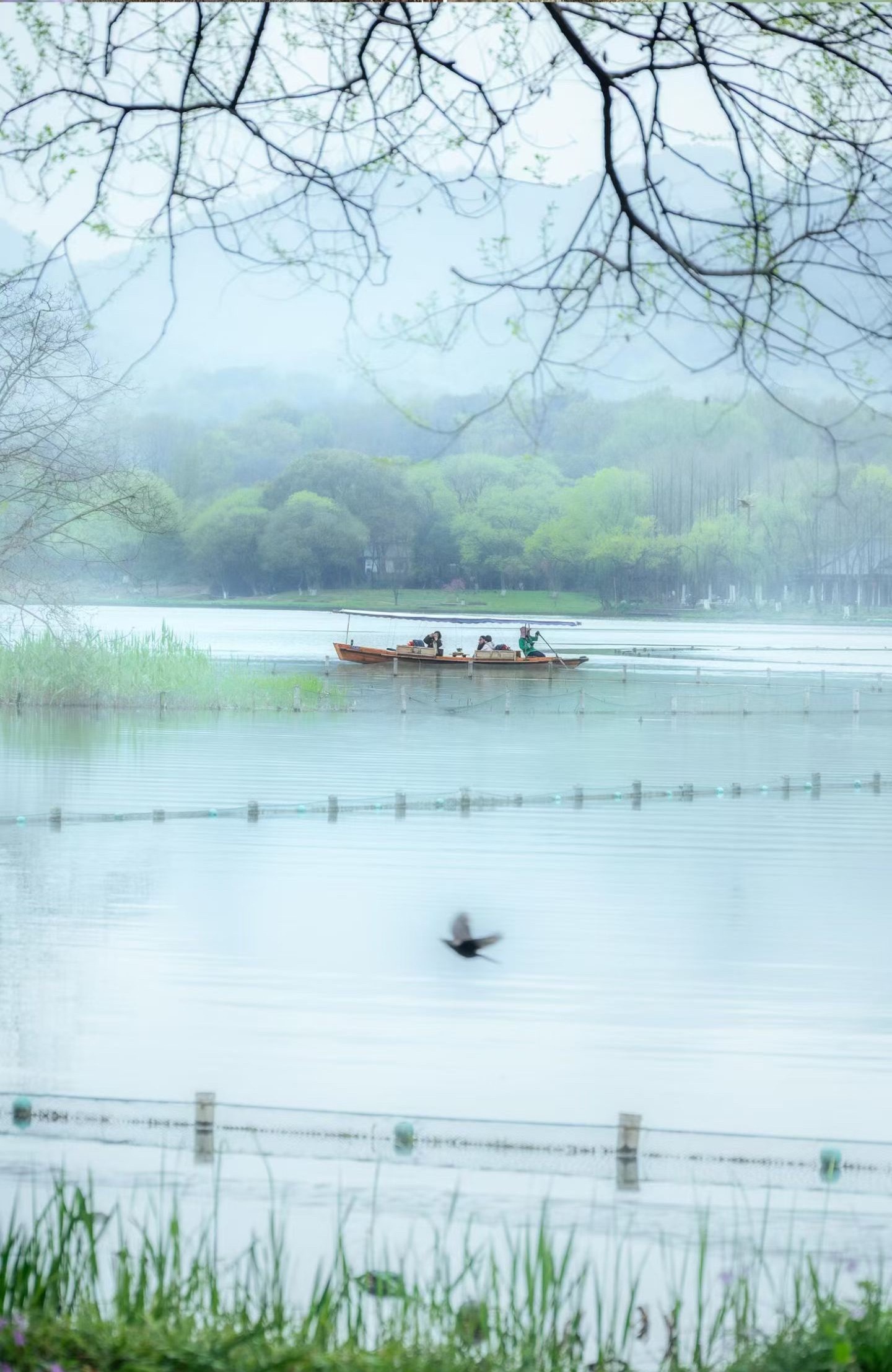 阳春三月，正是杭州最美的季节“乱花渐欲迷人眼，浅草才能没马蹄。”白居易诗中的杭州