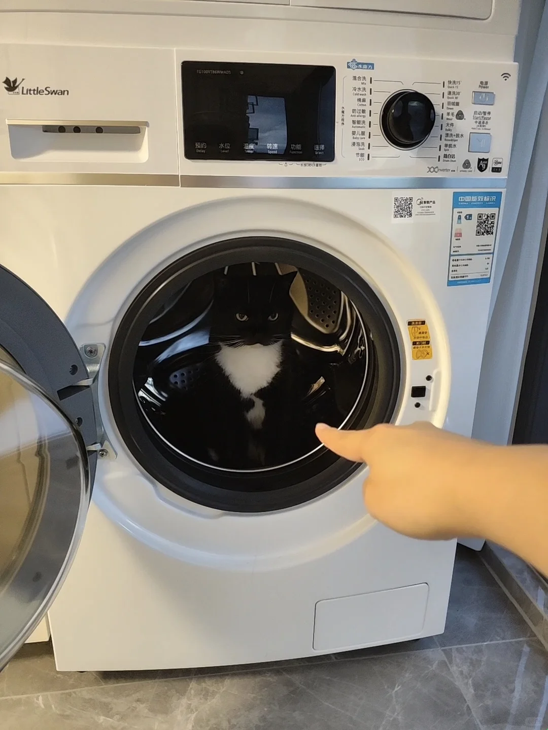 奶牛猫，你给我出来！！！！！！！！