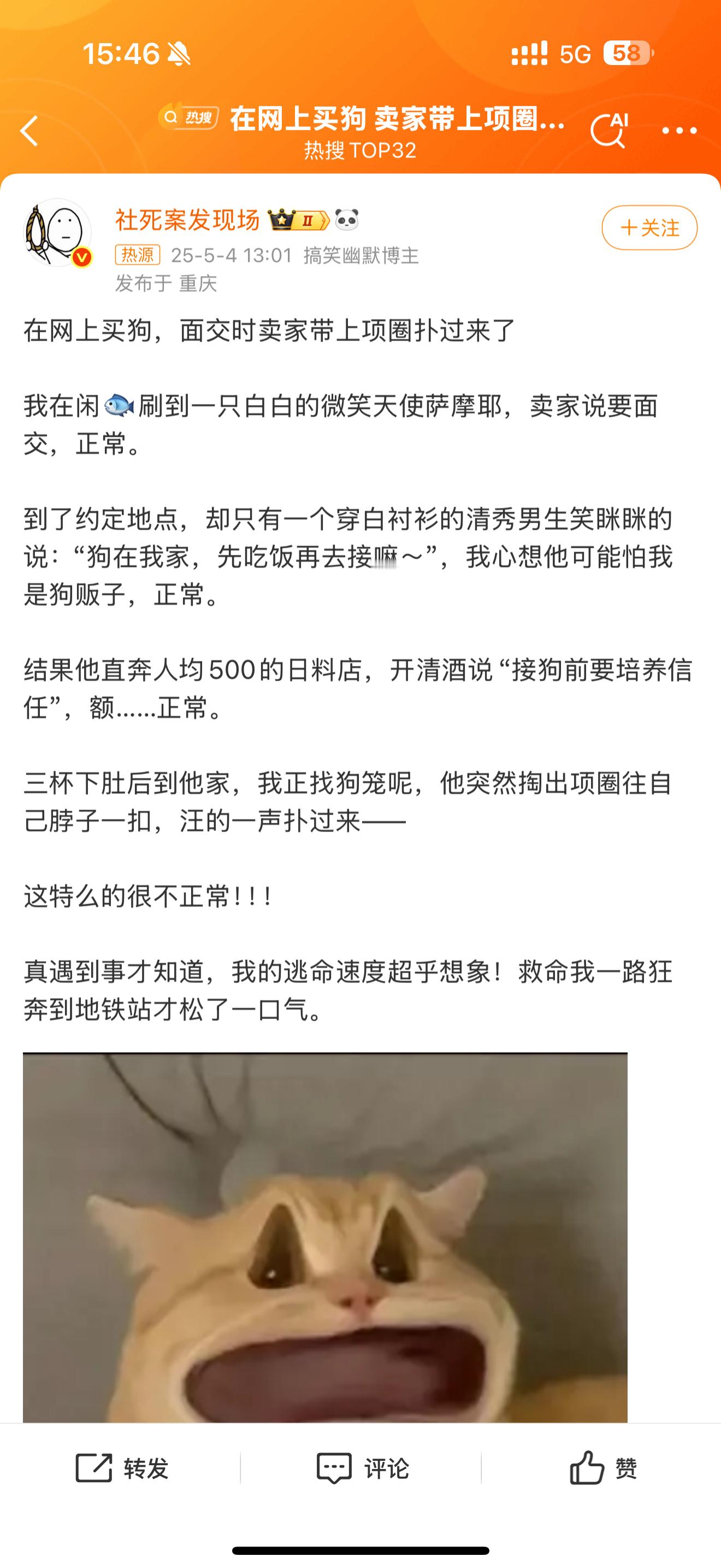 在网上买狗 卖家带上项圈扑过来了这产业倒是很吓人了[允悲][允悲][允悲]建议直