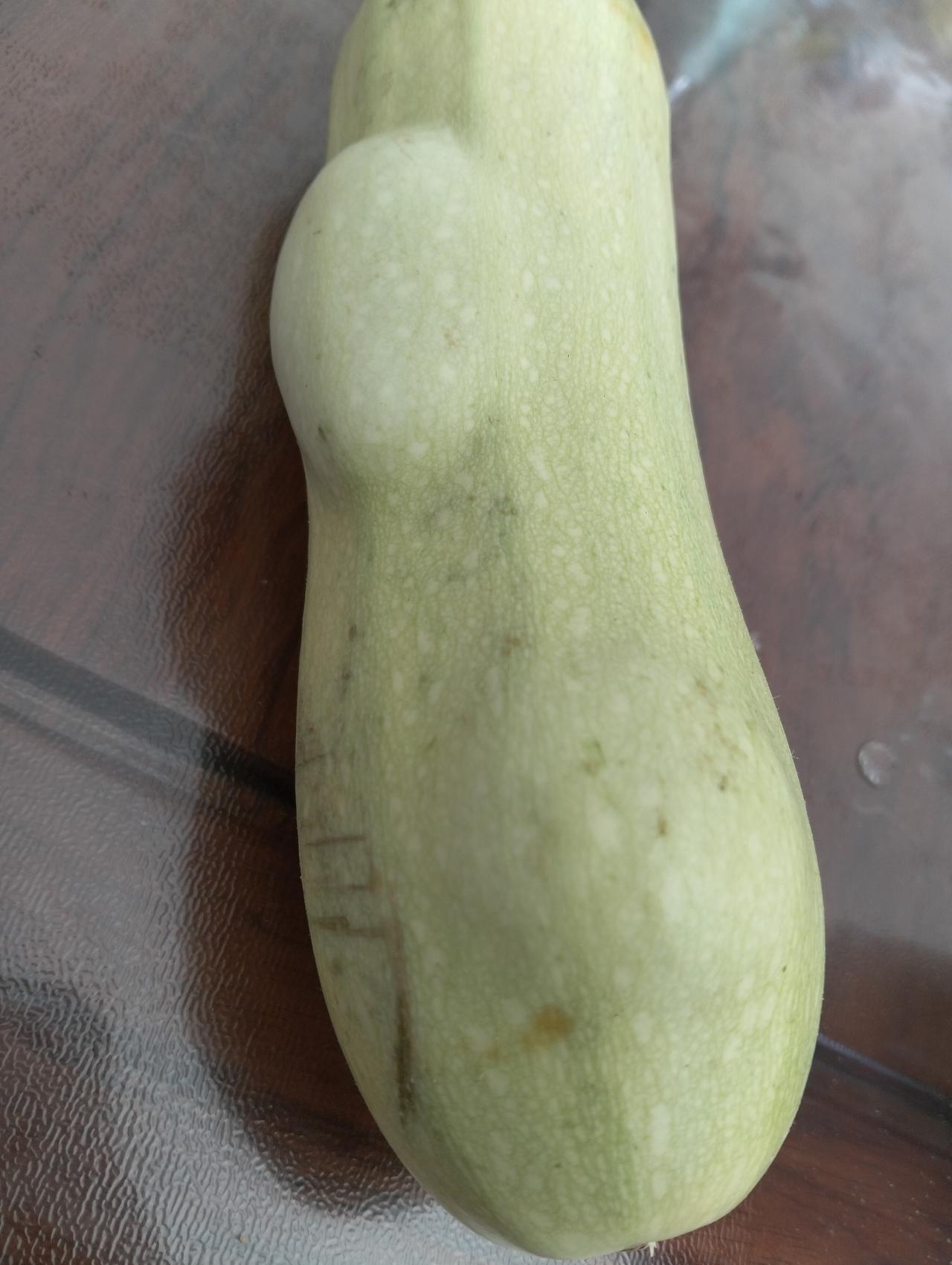 前几天我买了几个茭瓜，剩下一个，放几天长出来两个鼓包，这是怎么回事啊？正不正常，