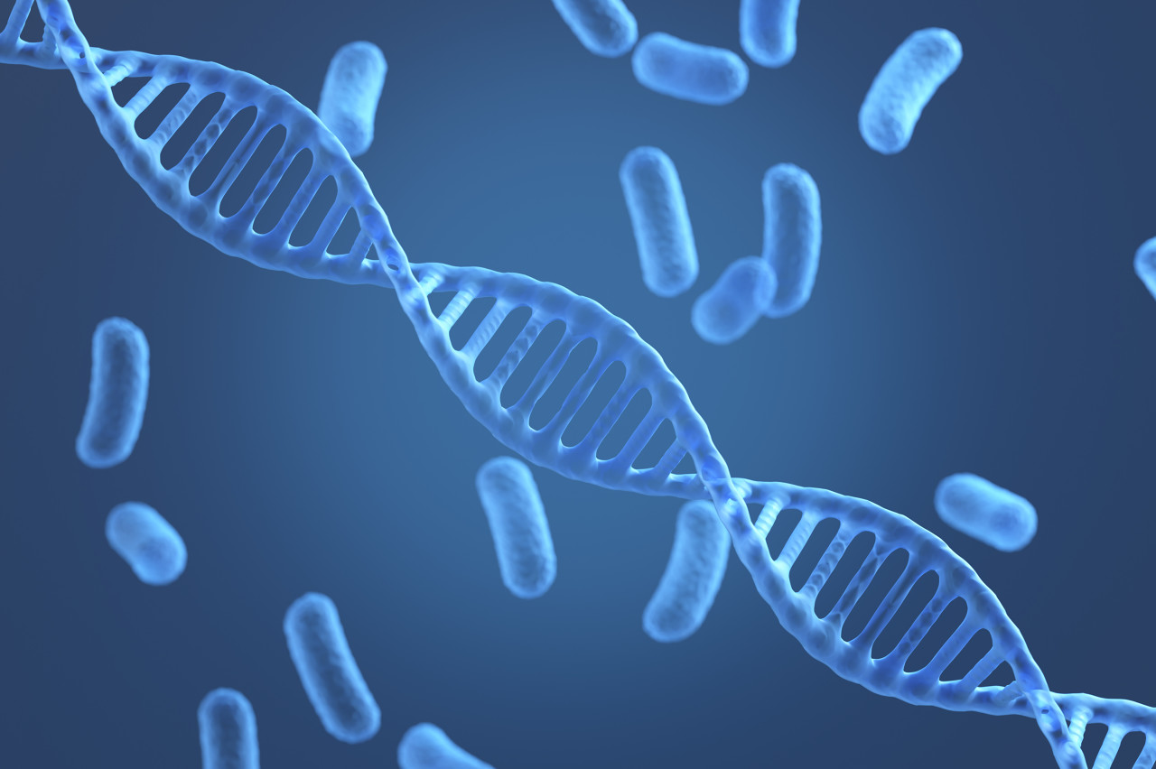 产品进入国内90%的三甲医院！麦科田2025年扭亏为盈，经销收入高居八成|港E声