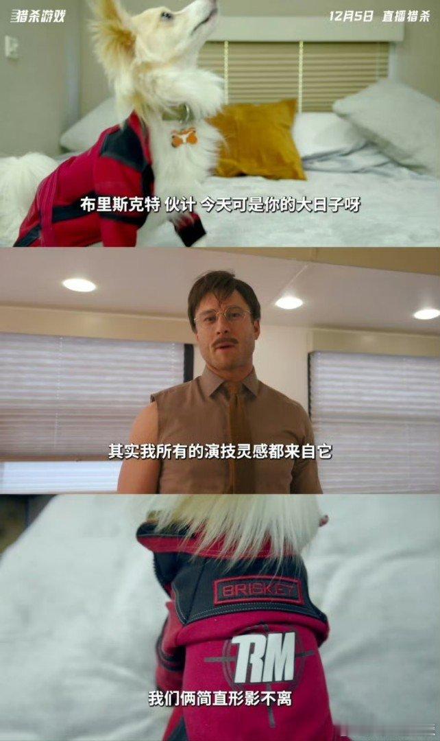 他家狗子的戏服太惊艳，帅气程度碾压我的衣服，真心慕了，这狗子也太有范儿~🤩 