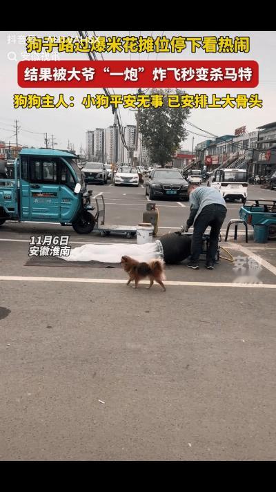 “本来我不想笑的，结果看完图片忍不住了！”11月6日，安徽，女子见路边有一位大爷
