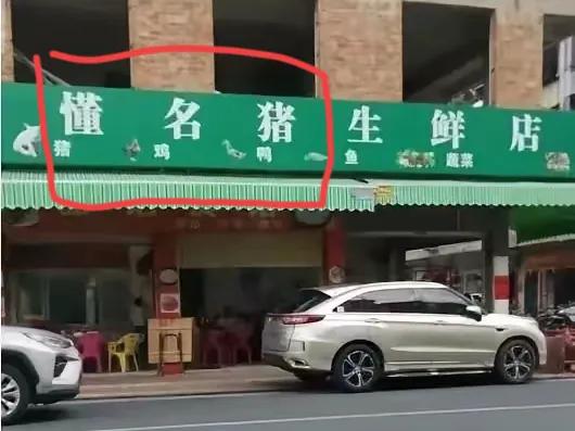 老板起店名“懂名猪生鲜店”一时爽，这要是被董明珠看到了，一定会告你倾家荡产的。有