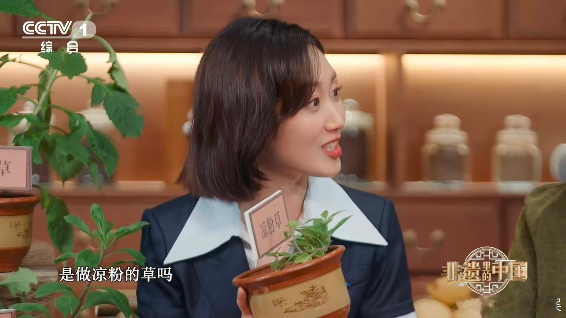 在闽南随手就可能采到草药 逛闽南的时候总有种挖宝的感觉，比如大家都熟知的烧仙草，