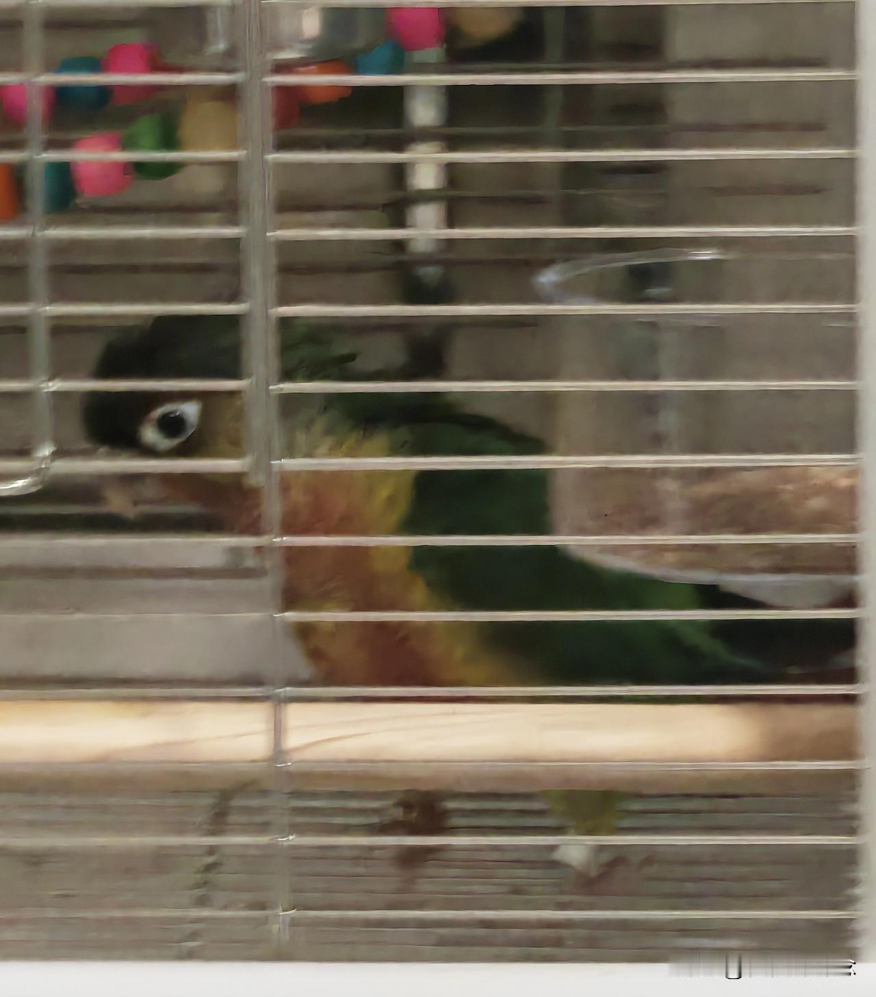 都是因为你
害我天天被骂
跟你玩要被骂，喜欢你要被骂
反正就是做什么都不对，都是