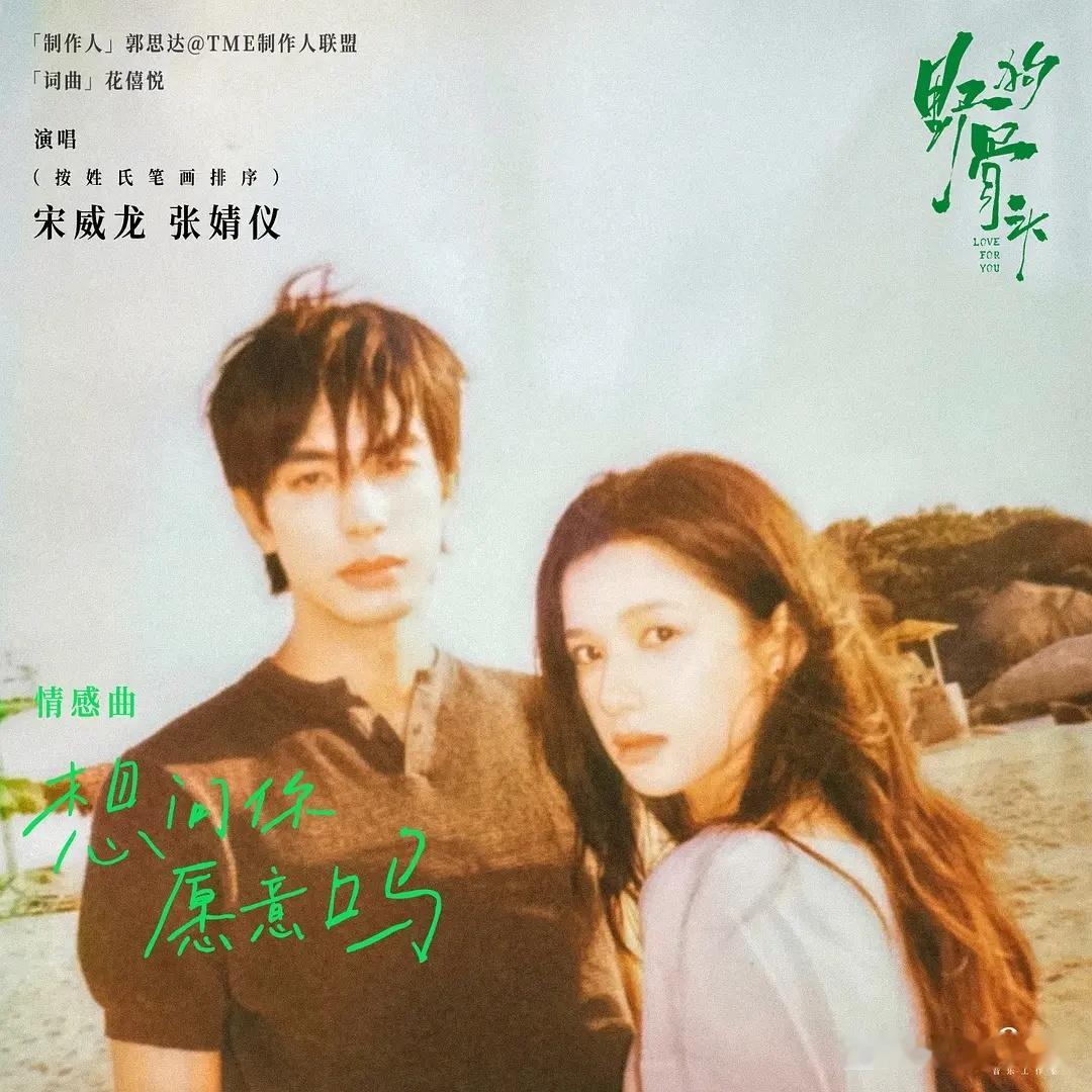 野狗骨头  更新24集资源 （先👍🏻后取）4K臻享 
