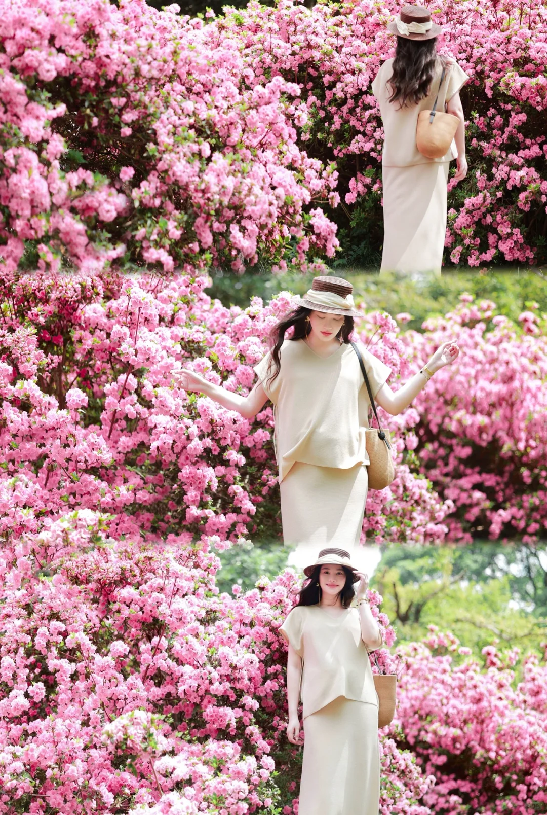 市中心发现了一片超美的无人花海🌸