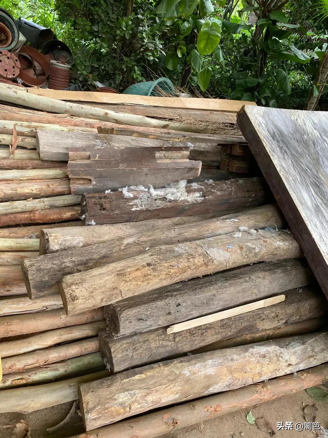 建小兔子的新家，建孔雀的新家，建鹦鹉的新家了
是谁给了我这么多的动力
是你们我亲
