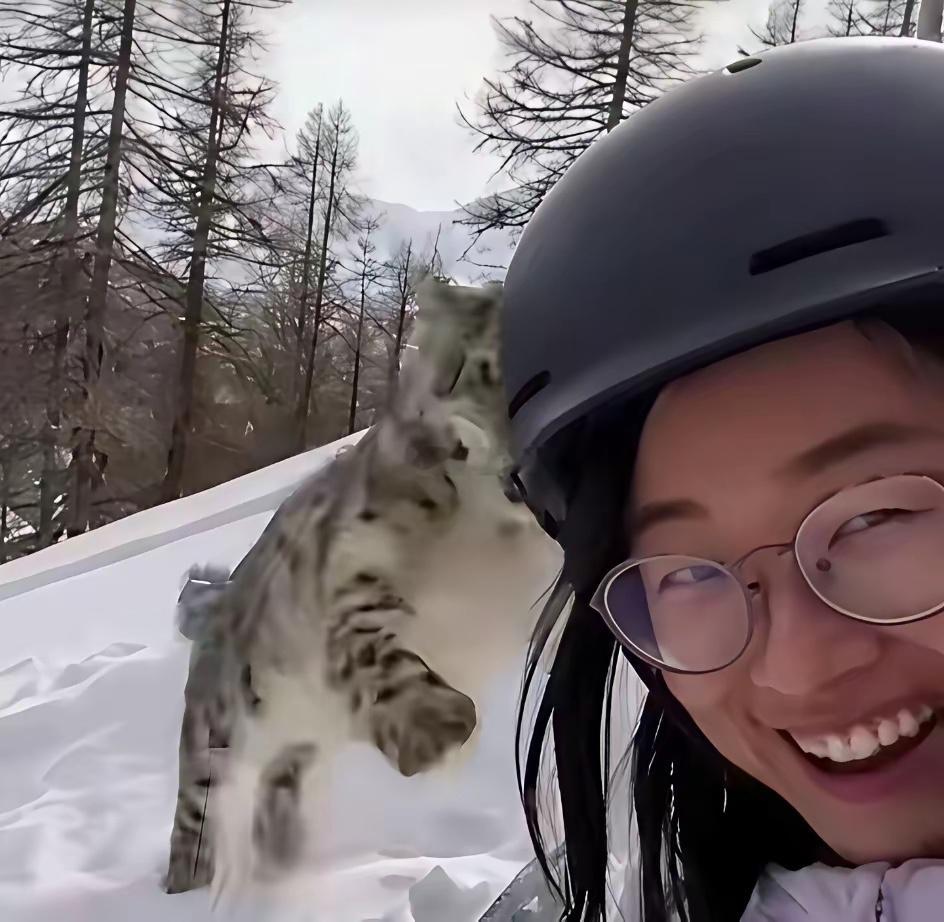 近距离与雪豹合影的女生，不出意料被咬了… 