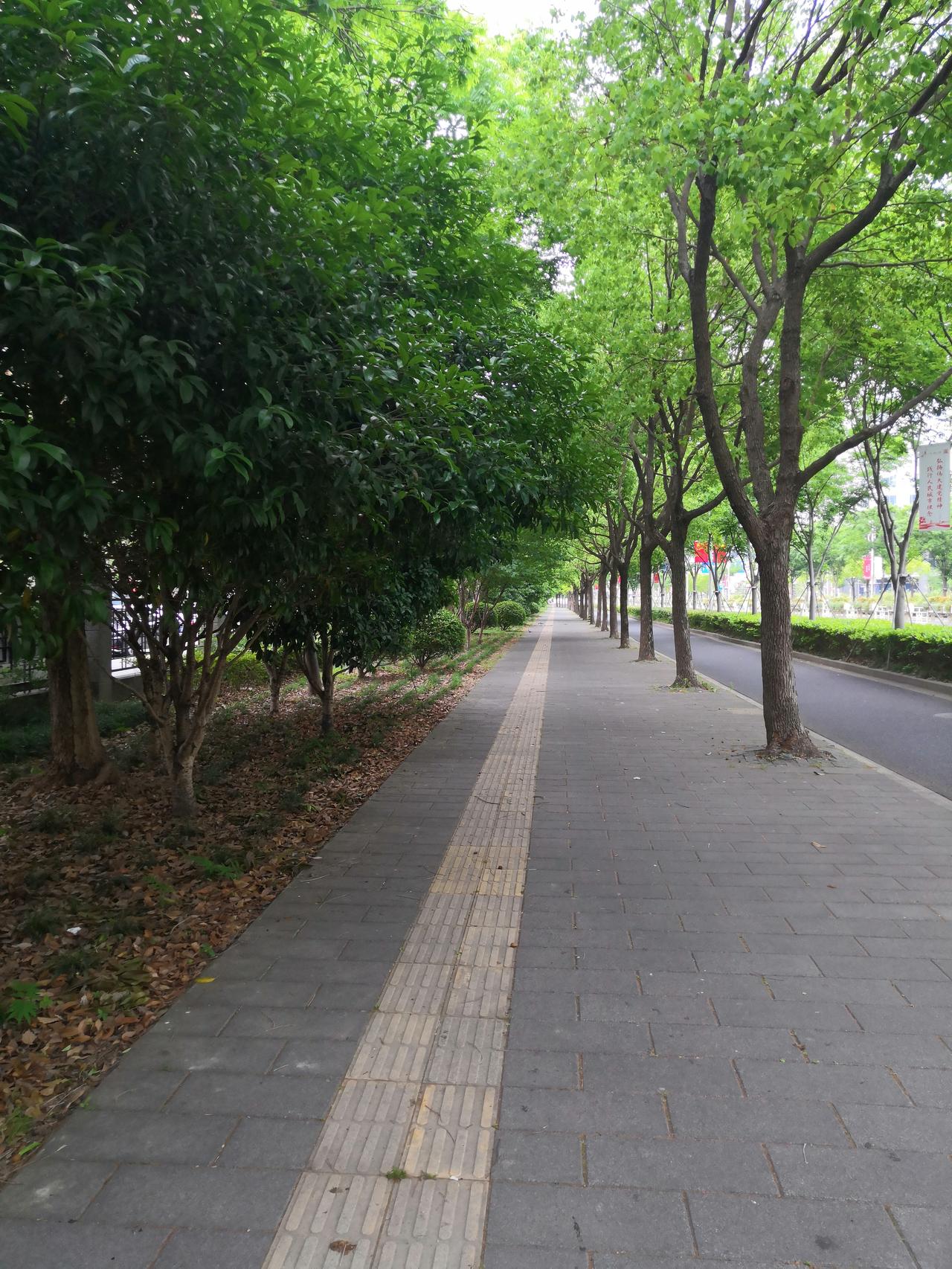 我认为不愿意。如果再活一次的话，我想再过不一样的人生，有一条不一样的道路，体会不