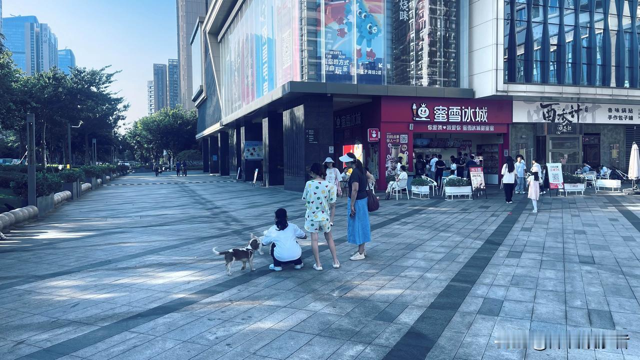 我真佩服梧桐林居的老板，在寸土寸金的深圳前海，高楼林立之间，留下了这么质朴的一栋
