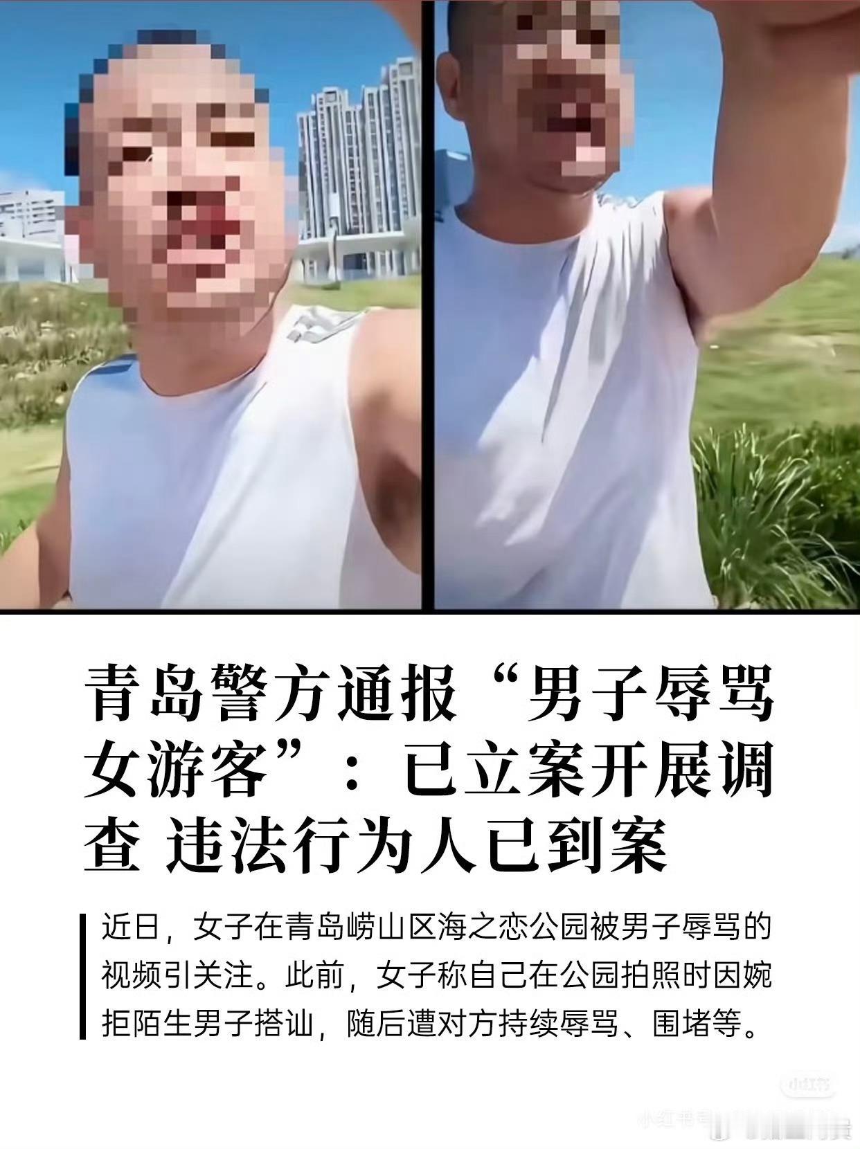 男子当众辱骂女游客，为何时隔十多天才立案
 
青岛海之恋公园男子当众辱骂女游客一